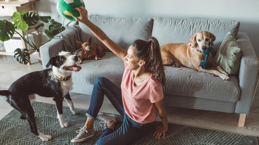 Picture for category Courses