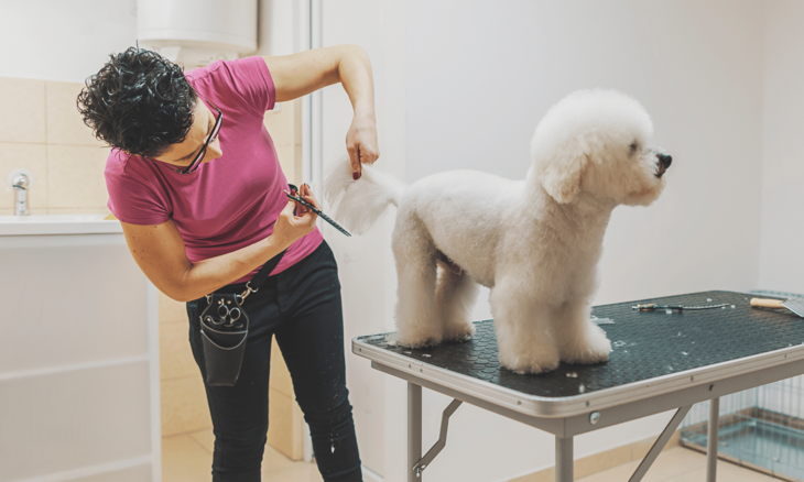 Picture of Online Dog Grooming Course Bundle (2 Courses)