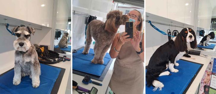 Picture for blog From Passion to Profession: Kylie's Journey to Becoming a Dog Groomer