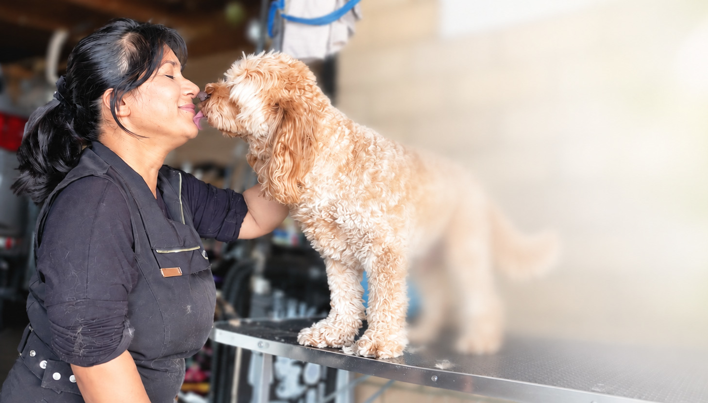 Picture of Professional Dog Grooming Diploma