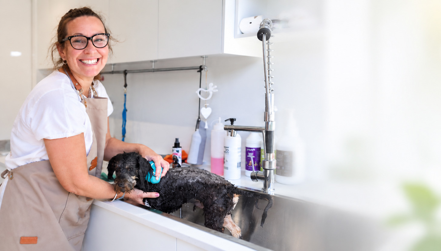 Picture of Dog Groomers Course Bundle (3 Courses)