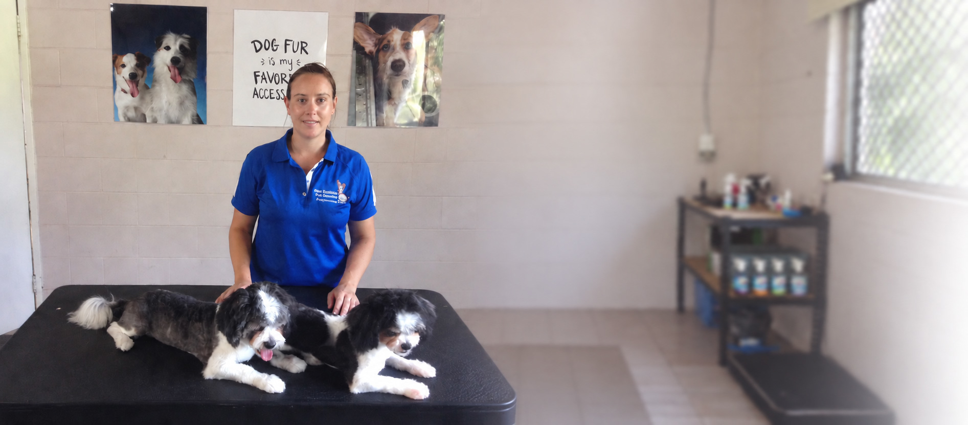 Picture of Professional Dog Grooming & Dog Behaviour Training Bundle (2 Courses)