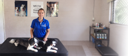 Picture of Professional Dog Grooming & Dog Behaviour Training Bundle (2 Courses)