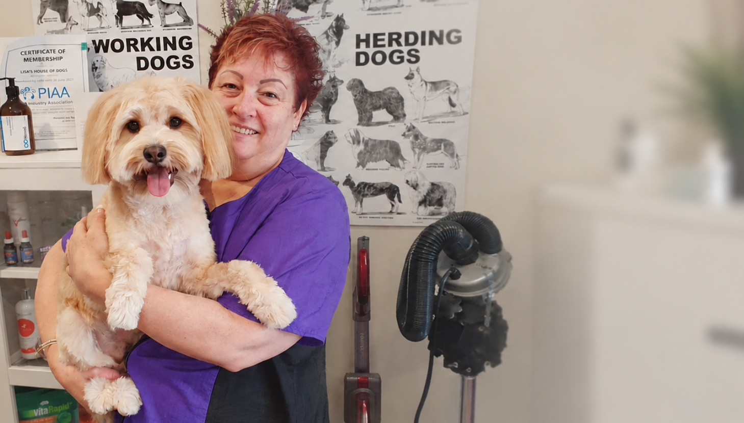 Picture of Online Dog Grooming Course Bundle (2 Courses)