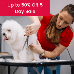 Up to 50% off sale