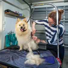 Pet Courses student gallery photo 56