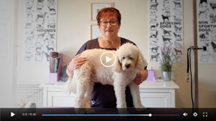 At home with Lisa dog grooming video series