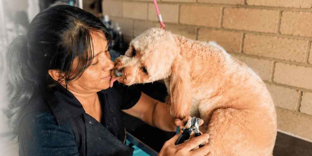 Pet Courses graduate practising dog grooming
