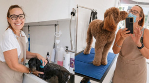 Pet Courses graduate Kylie working as a dog groomer