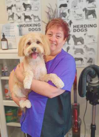 Lisa grooming dog